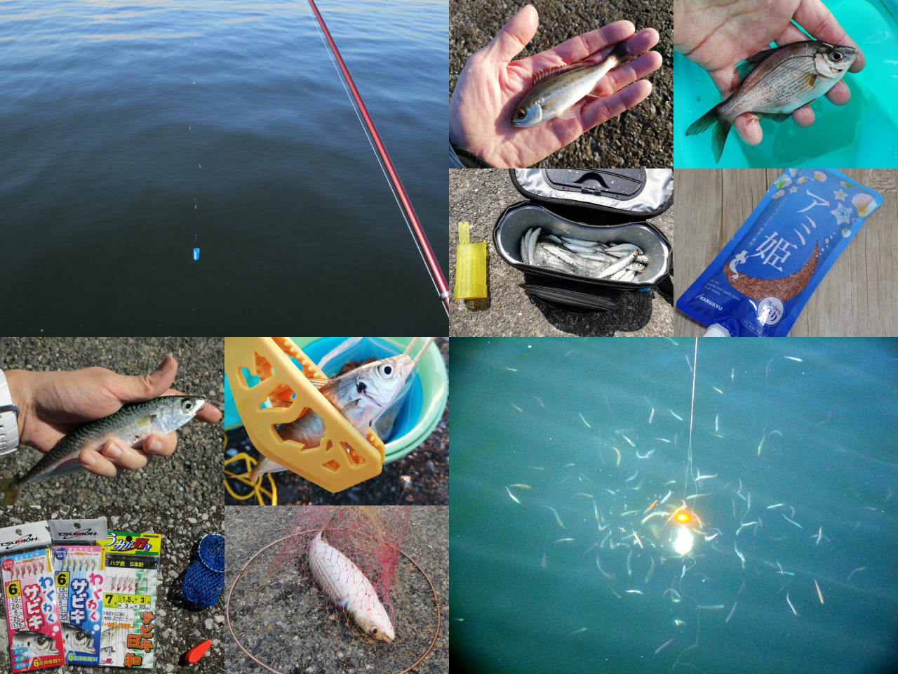 サビキ釣りの始め方（初心者向け、必要なもの、やり方など） | 海釣り