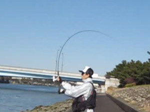 ルアーの投げ方 キャスティング 海釣りスタートガイド ルアーの投げ方 キャスティング 海釣りスタートガイド