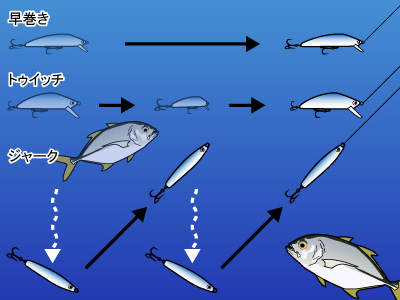 ルアー釣り メッキ 海釣りスタートガイド