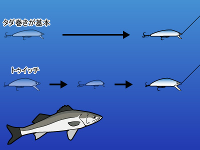 ルアー釣り スズキ シーバス 海釣りスタートガイド